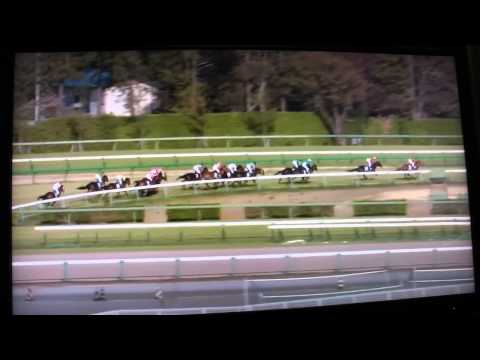 Nakayama Grand Jump 2013 Blackstairmountain