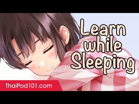 Learn Thai Conversation While You Sleep - Daily Thai Business Listening Practice