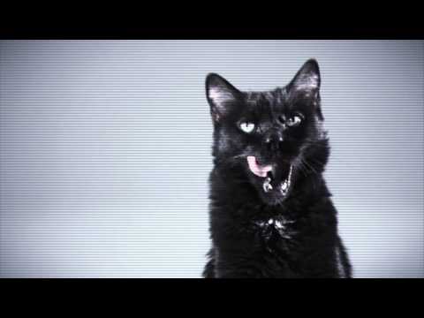 Slideback & Philippe B - Housecat [Teaser]