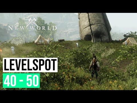 Powerleveln 40-50 in New World | GUIDE | German Deutsch | Wie schnell Level bekommen / Leveln ?