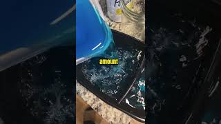 Frozen Jello Bites Review 🤤 #shorts #food #asmr