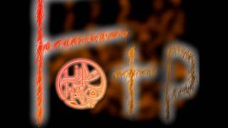 Introduction - Lupe Fiasco (FOTP)