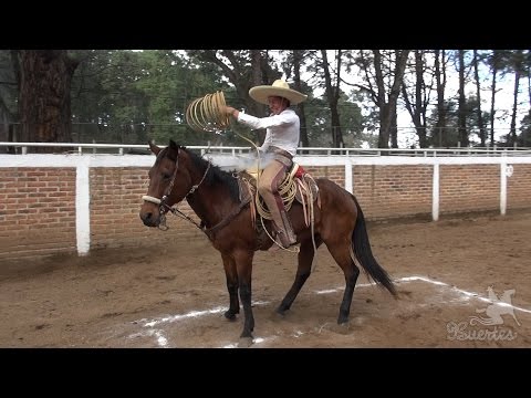 Piales Competition, Tapalpa, Jalisco, November 21, 2016