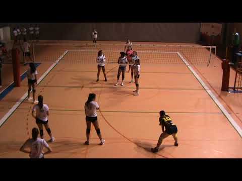 CICUE AVG2008 - (II)