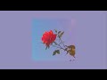 Roses-The Chainsmokers-[slowed+reverb]