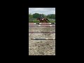 Jument 4 ans - CSO - Poney E - 8.000 &euro; jusqu'au 15/06