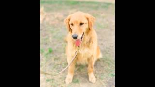 You Light the Fire (Cover by Seong Bae)