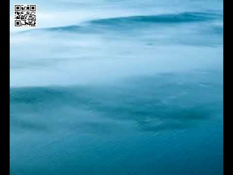 Dragan Dautovski quartet - Nasproti vetrot