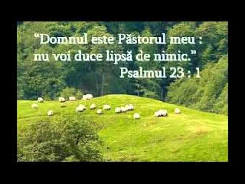 Fratele ruben-domnul e pastorul meu 2015