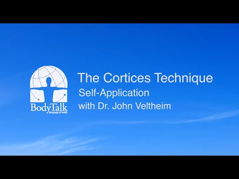 The Cortices Technique (Self-Application)