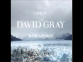 disappearing world - david gray