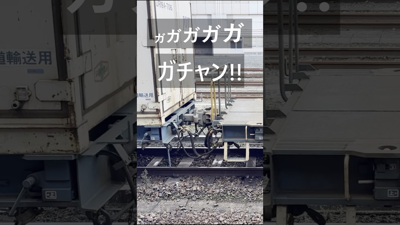 貨物列車のガガガがチャン音。#貨物列車 #電車 #夜鷹
