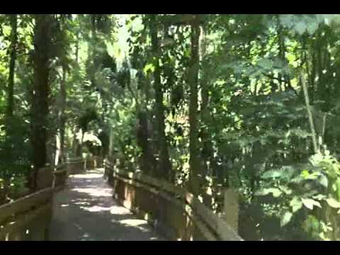 Bicycle tour through Celebration near Orlando, Florida