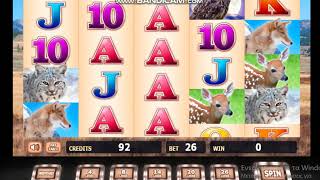 MOUNTAIN FOX JACKPOT SLOT MACHINE