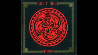 Gov't Mule - Larger than Life