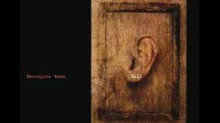 Porcupine Tree - Pure Narcotic (Rare version - XMII)