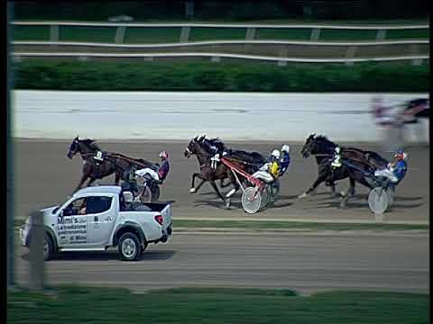 Trotto 20/10/2019 - 8ª corsa