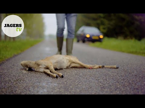 JagersTV Afl. 9 - Wildspiegels en valwild