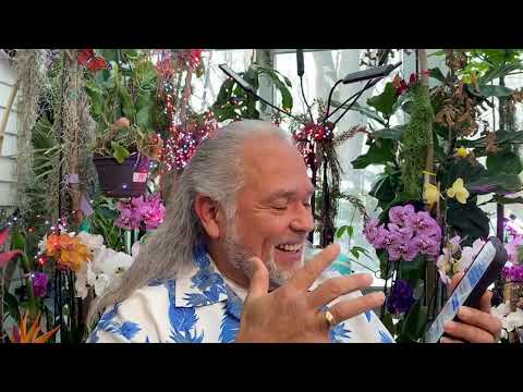 FRANK26….1-28-26……TRUMP TRUTH