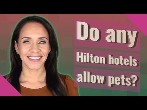 Does Hampton Inn Allow Pets