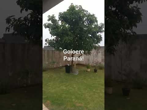 Goioerê, Paraná!!🙏🌷