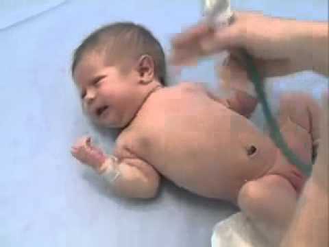 newborn examination of the heart