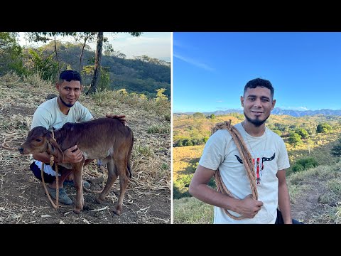 😱This is how the turtle remained after we removed the worms from its mouth 😱