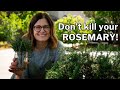 ROSEMARY GROWING GUIDE: Planting, Growing & Propagation