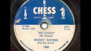 Muddy Waters, My Fault