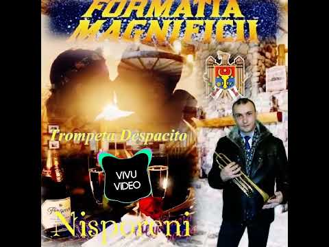 Formația Magnificii Nisporeni New 2023 - Trompeta Despacito ReMix