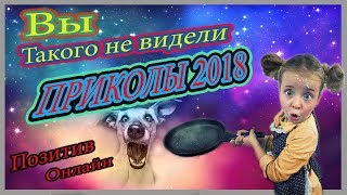 ОБЕЗЬЯНА И ГРУДЬ! ПРИКОЛЫ С ЖИВОТНЫМИ! ПРИКОЛЫ 2018! НОВЫЕ ПРИКОЛЫ! ВИДЕО ПРИКОЛЫ! ПРИКОЛЫ С ДЕТЬМИ