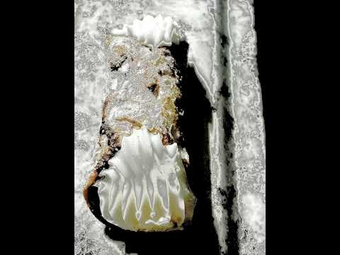 Microwaves (Heat Waves Parody)