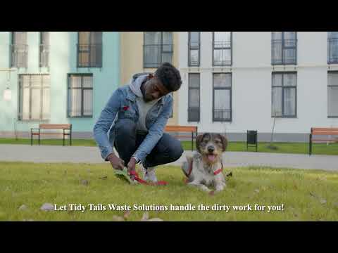 Up to 50% Off on Dog waste removal services at Tidy Tails Waste Solutions - Second Medium