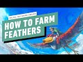 Skyward Sword HD Walkthrough – How to Farm Bird Feathers (Rare Treasure)