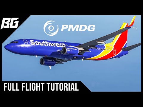 Beginner Friendly PMDG B737 Tutorial | MSFS