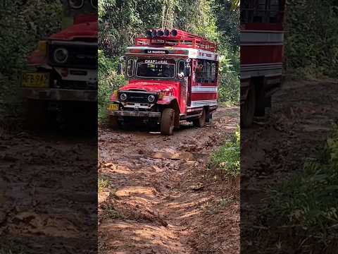 Les muestro una chiva que antes fue un toyota , desde chaparral Tolima #campo #toyota