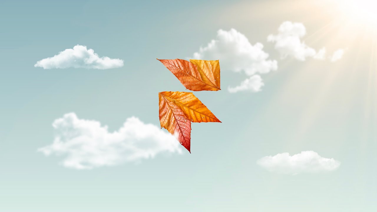 Framer Event — Fall 2024, Introducing Plugins, and CMS References