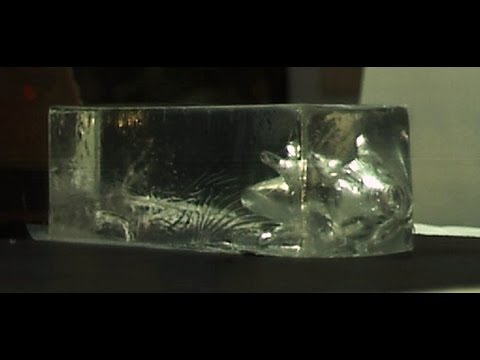 Aimed Research - Cutting Edge Bullets Fragmentation Pattern In Clear Ballistics Gel 5,000fps