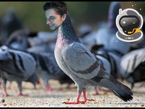 Ranked Jing Wei - One Of My Greatest Comebacks!