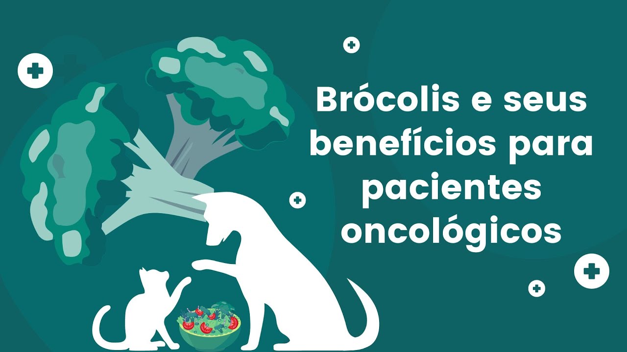 #BRÓCOLIS E SEUS BENEFÍCIOS PARA PACIENTES ONCOLÓGICOS