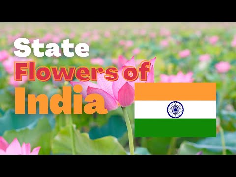 State flowers of India 🇮🇳