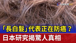 「長白髮」代表正在防癌？ 日本研究揭驚人真相