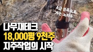 251027_나무재테크 18,000평 9천주 지주작업의 시작 A급 ᄉ…