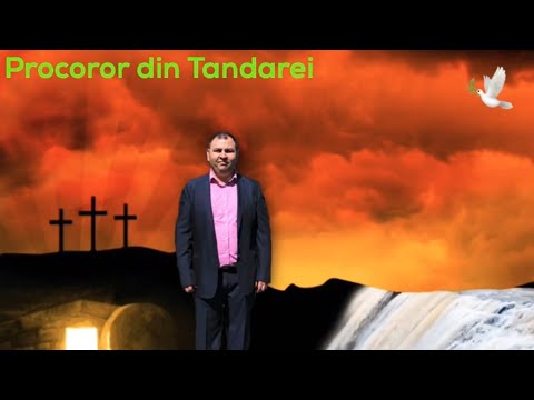 Procuror Din Tandarei - Pune Doamne Dragostea