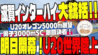 【速報！】男子3000mSC決着＆インターハイ大総括！そして明日開幕・U20世界陸上（男子5000m）超特大展望