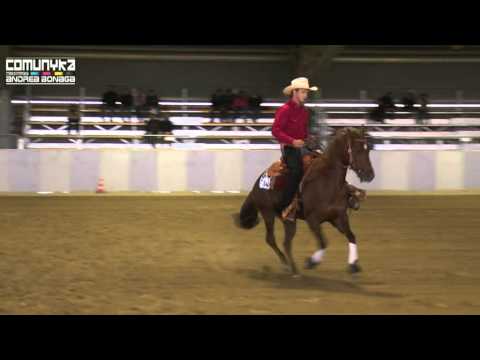AIQH Le Arene WS - HASENAUER JOHANNES-ML WINS LIL LYNX - Junior Reining
