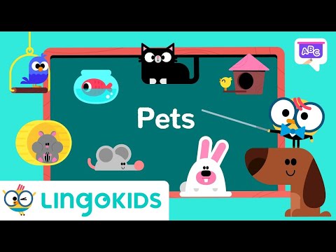 Pets VOCABULARY FOR KIDS 🐶🐱 | Learn English vocabulary | Lingokids