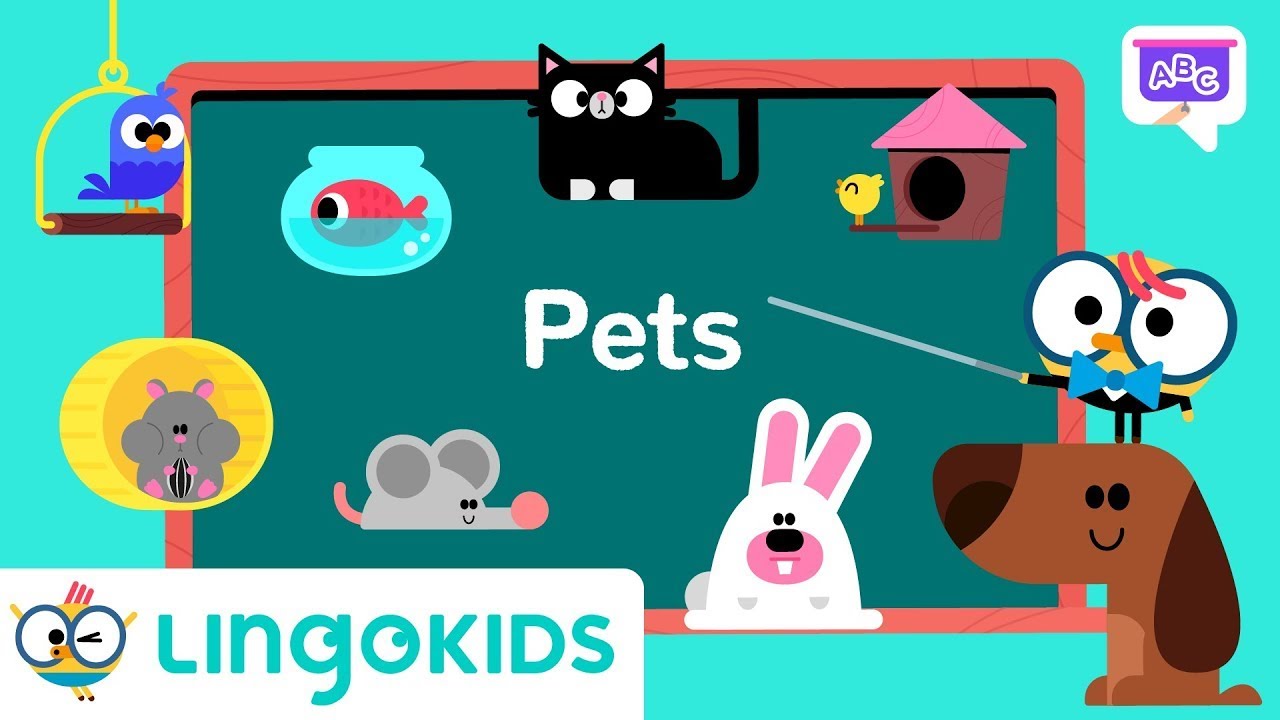 Pets VOCABULARY FOR KIDS 🐶🐱 | Learn English vocabulary | Lingokids