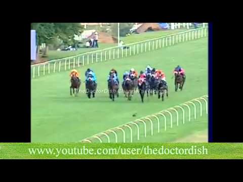 Royal Ridge Horse.......  In Turffontein...  HD.. 06.12.11