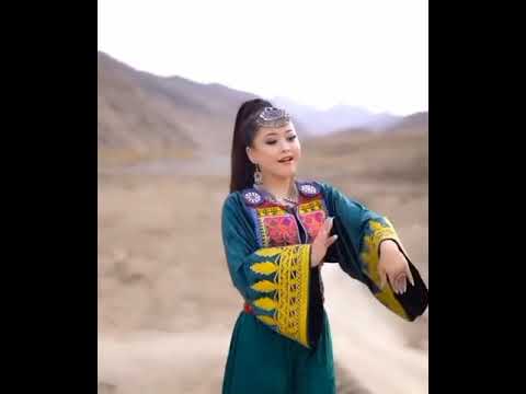 آهنگ جدید از زیبا نوری 😍 Ziba noori new song 😍